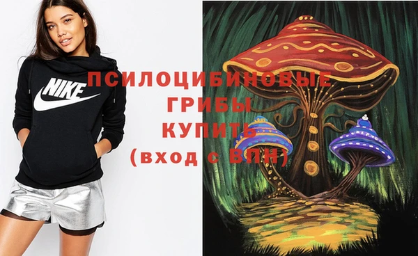 прущая мука Киреевск