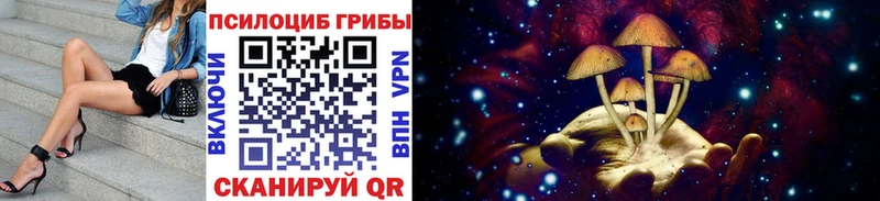 Псилоцибиновые грибы Psilocybine cubensis  Купить закладки  Людиново 